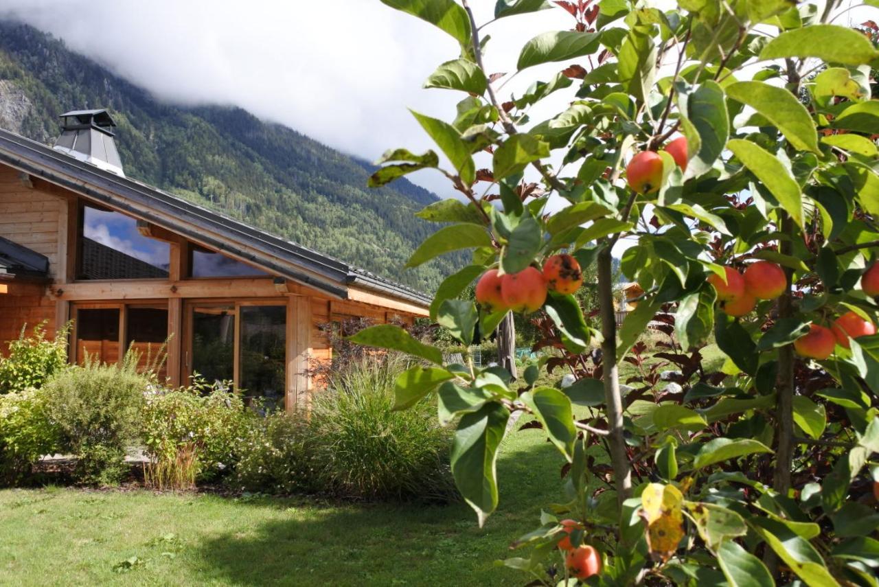 Grand Chalet Le Trappeur - Chamonix Exteriör bild